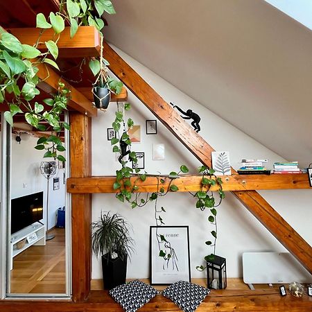 Captain Misha'S Place Beograd Bagian luar foto